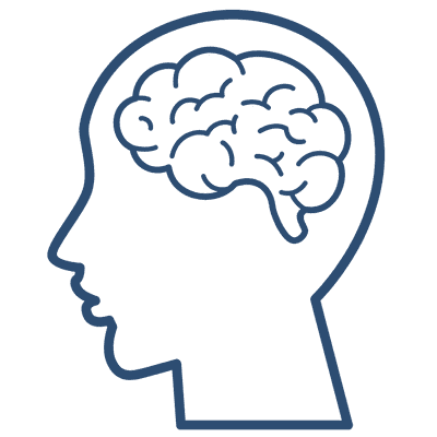 Brain